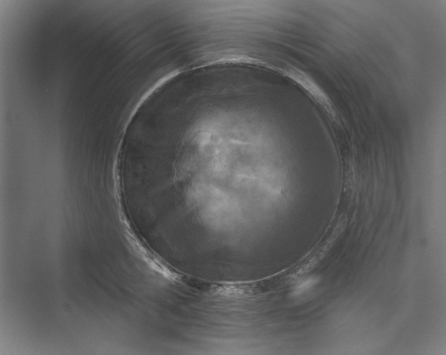 X0000073460806200608111508