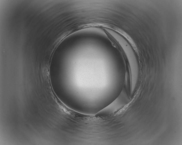 X0000073460809200608111508