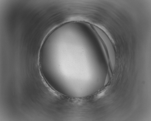 X0000073460815200608111508