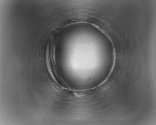 X0000073460818200608111507