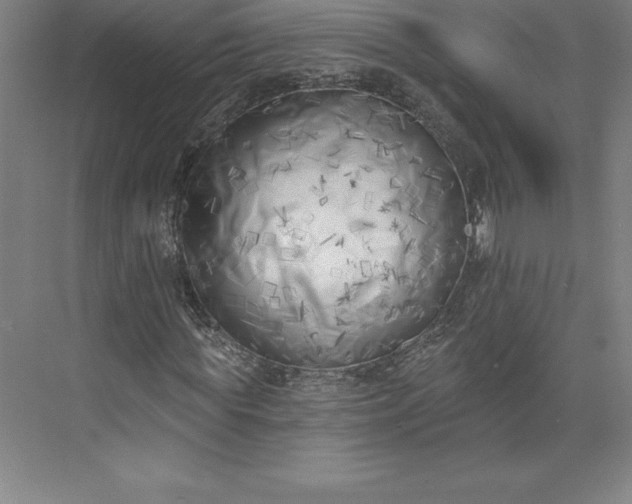 X0000073460819200608111507