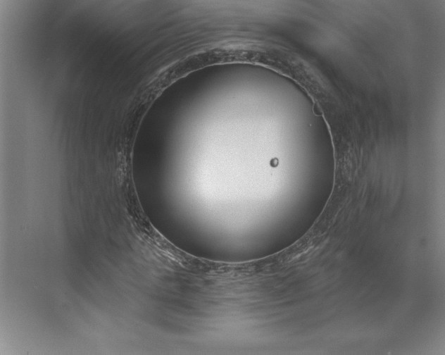 X0000073460821200608111507