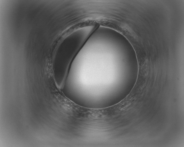 X0000073460822200608111507