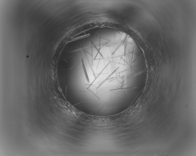 X0000073460823200608111507