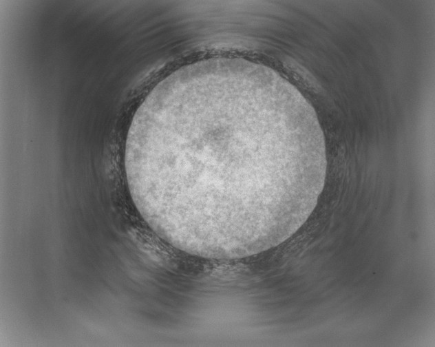 X0000073460824200608111508