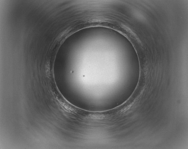 X0000073460825200608111508