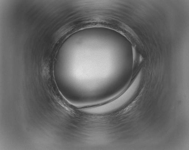 X0000073460826200608111508