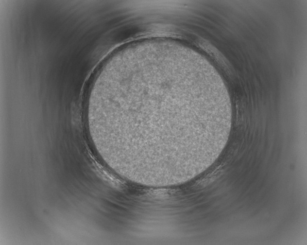 X0000073460828200608111508