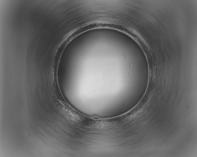 X0000073460829200608111508