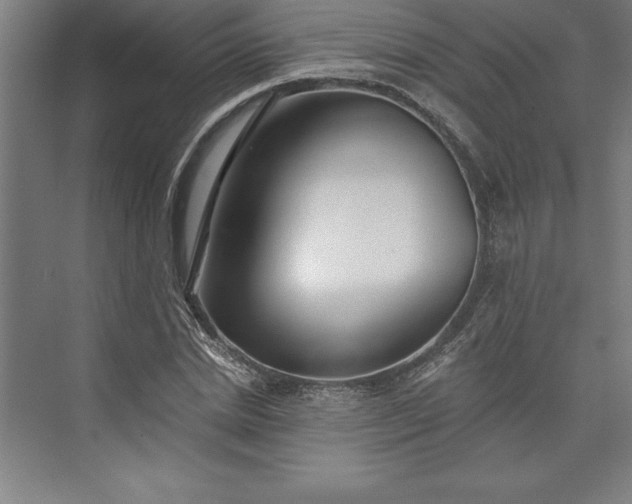 X0000073460830200608111508