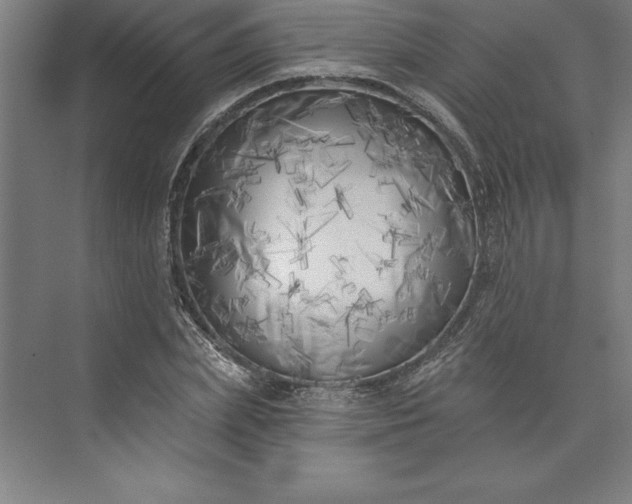 X0000073460831200608111508