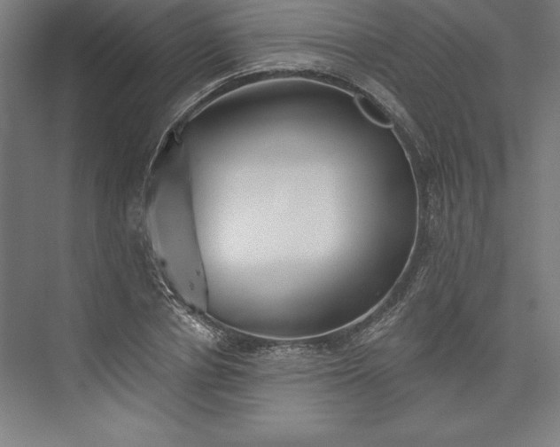 X0000073460834200608111508