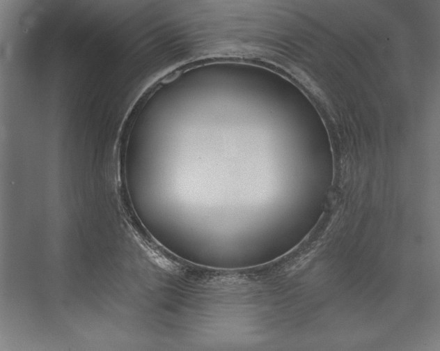 X0000073460838200608111508