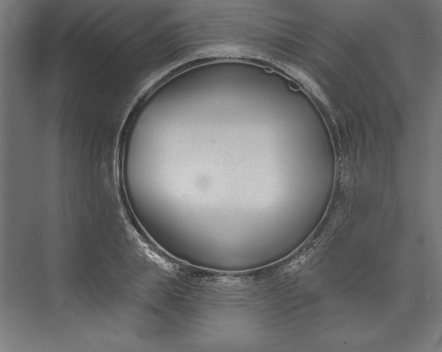 X0000073460839200608111508