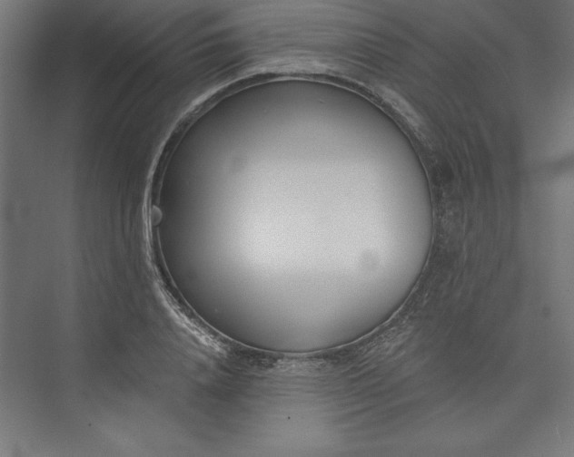 X0000073460840200608111508