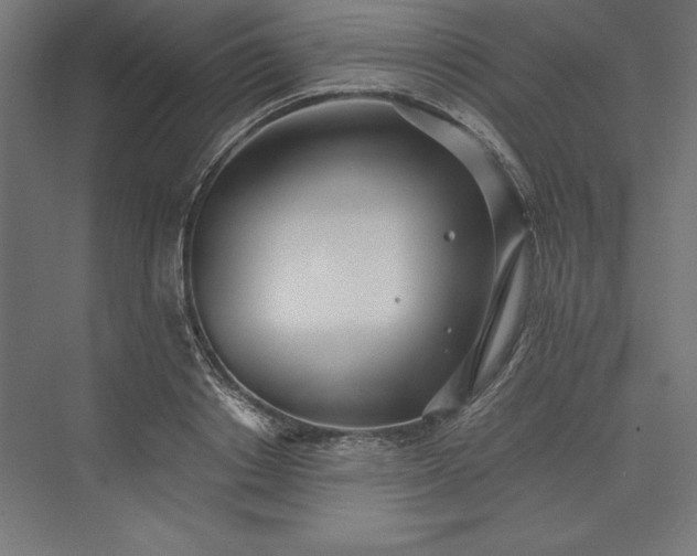 X0000073460842200608111508