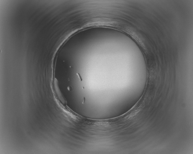 X0000073460844200608111508