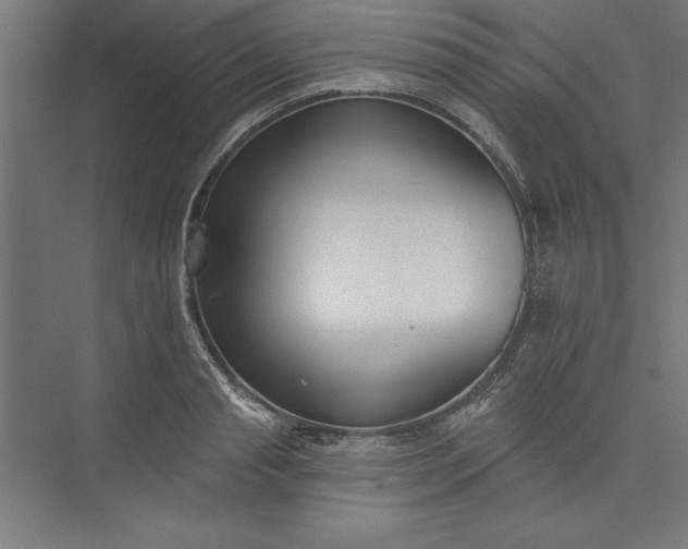 X0000073460845200608111508