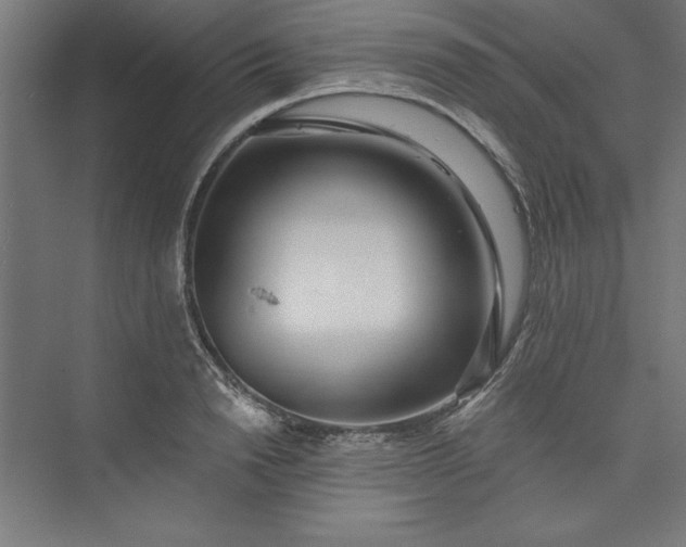 X0000073460846200608111508