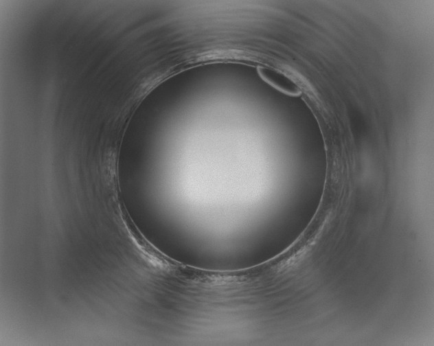 X0000073460849200608111508