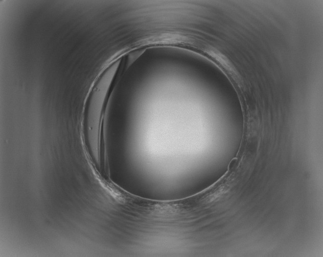 X0000073460850200608111508