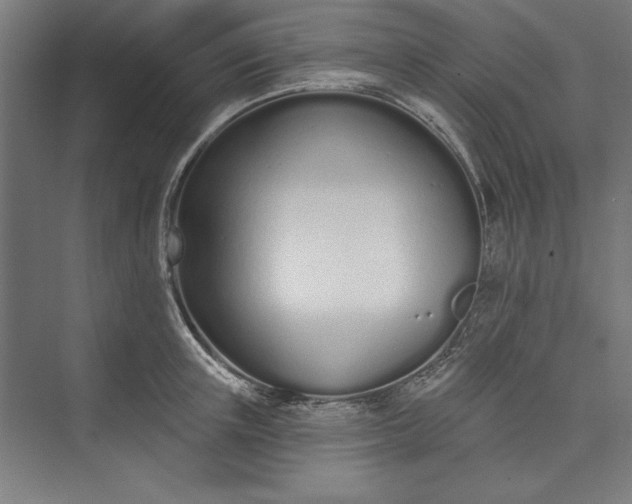 X0000073460851200608111508