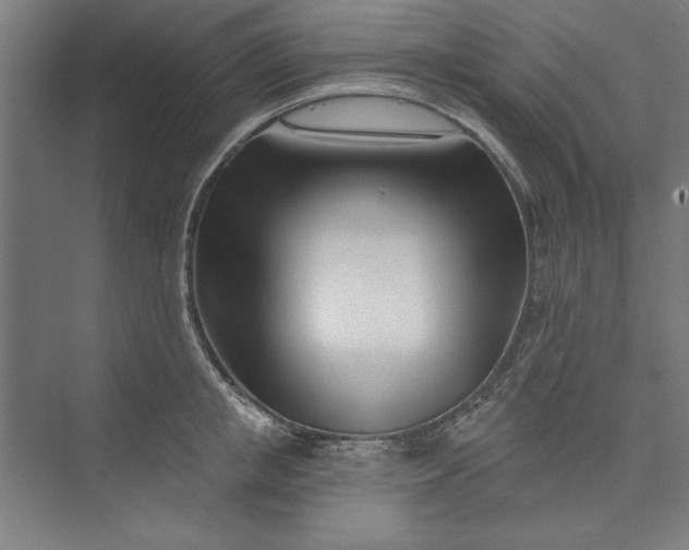 X0000073460853200608111508