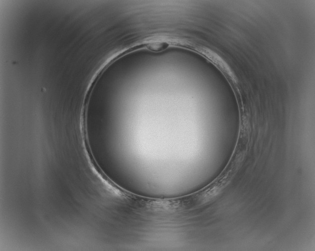 X0000073460855200608111508