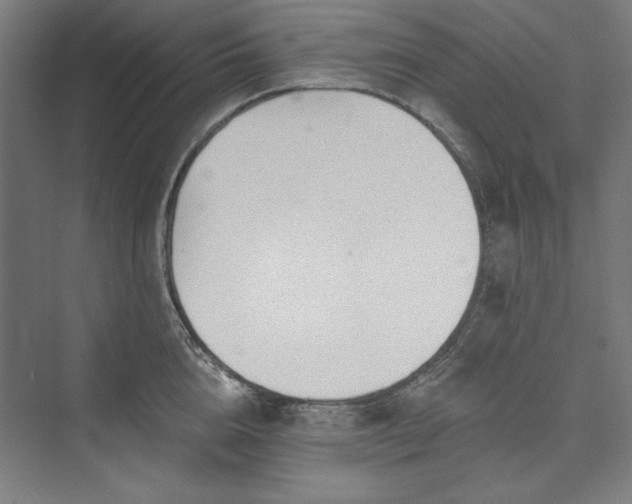 X0000073460856200608111508