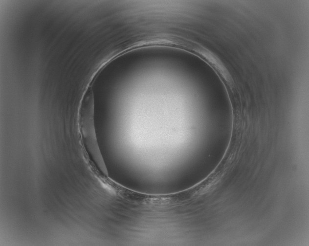 X0000073460858200608111508