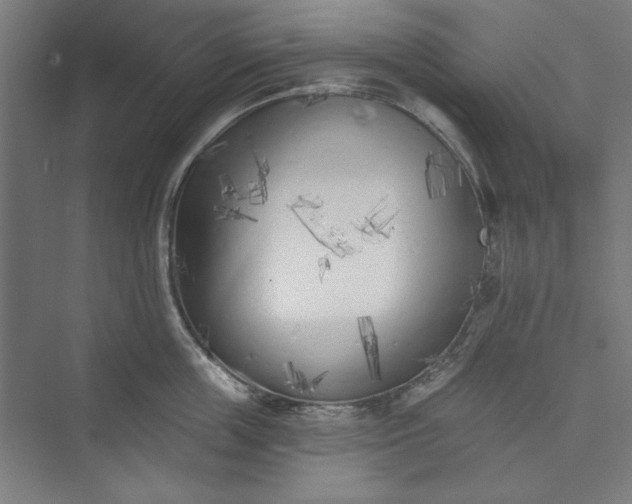 X0000073460859200608111508