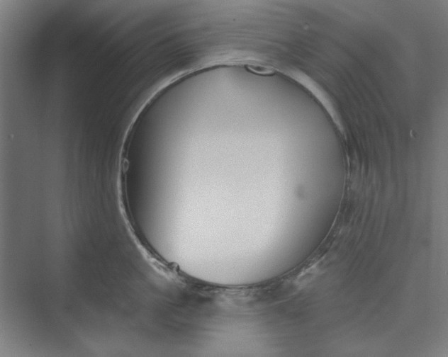 X0000073460861200608111508