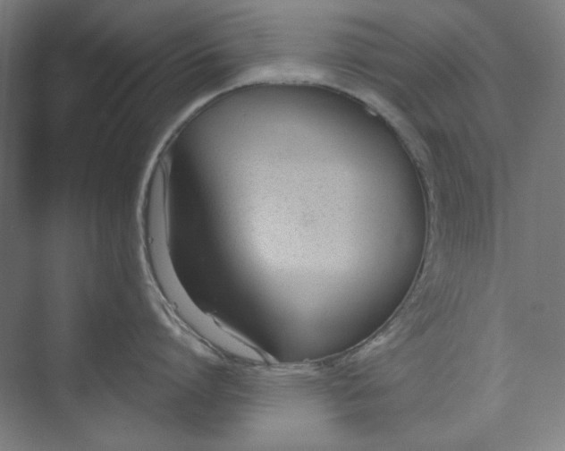 X0000073460864200608111508