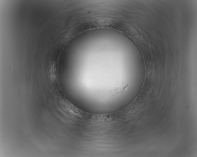 X0000073460866200608111507