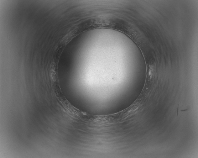 X0000073460867200608111507