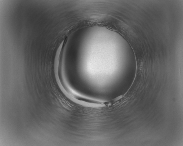 X0000073460868200608111507