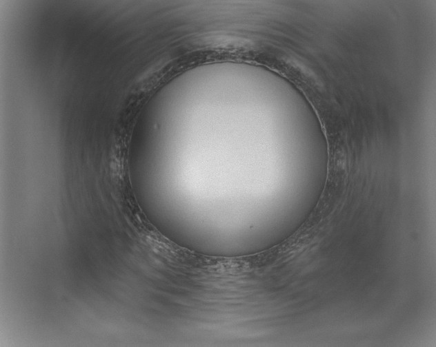 X0000073460869200608111507