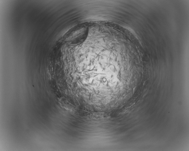 X0000073460871200608111507