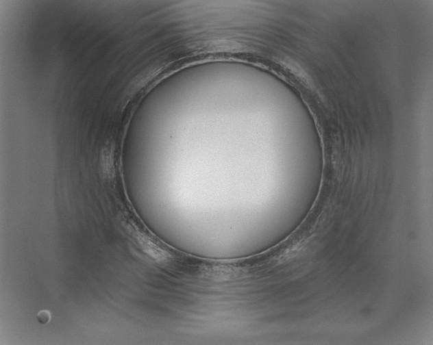 X0000073460873200608111507