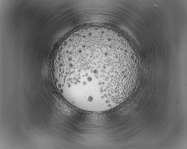 X0000073460874200608111507