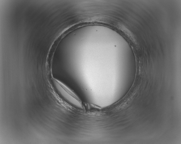 X0000073460876200608111507