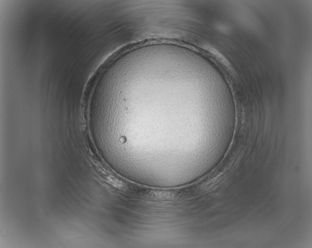 X0000073460878200608111507