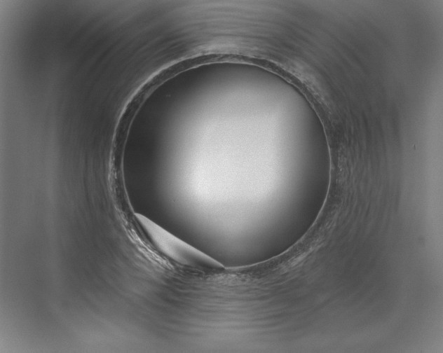 X0000073460880200608111507