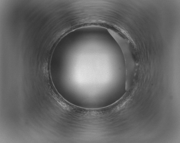 X0000073460881200608111507