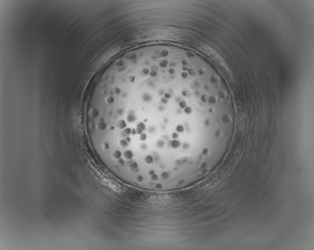 X0000073460882200608111507