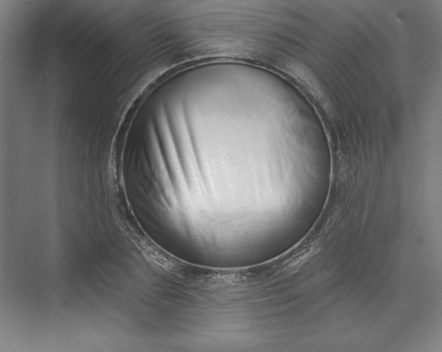 X0000073460883200608111507