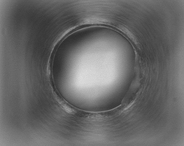 X0000073460885200608111507