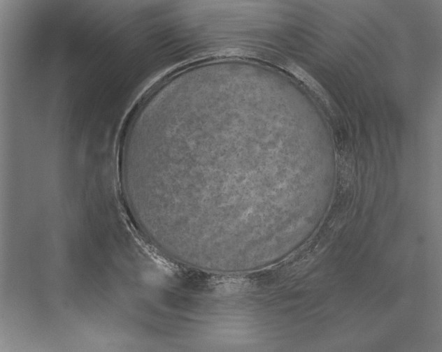 X0000073460886200608111507