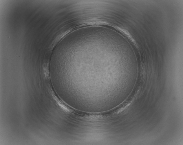 X0000073460889200608111507