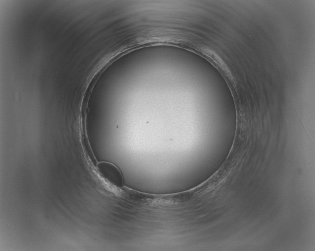 X0000073460890200608111507